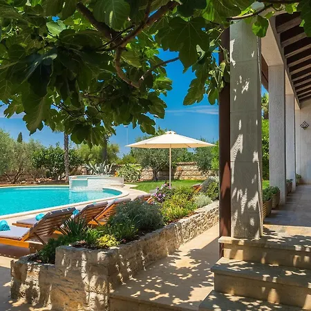 David Tatil Evi Poreč